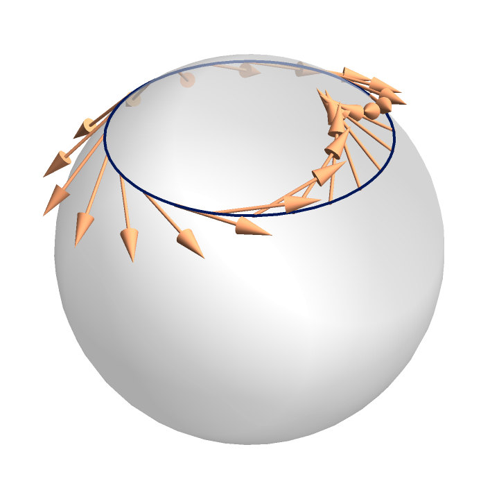 A sphere viewed from slightly above with curve and vector field as described in the caption and main text.