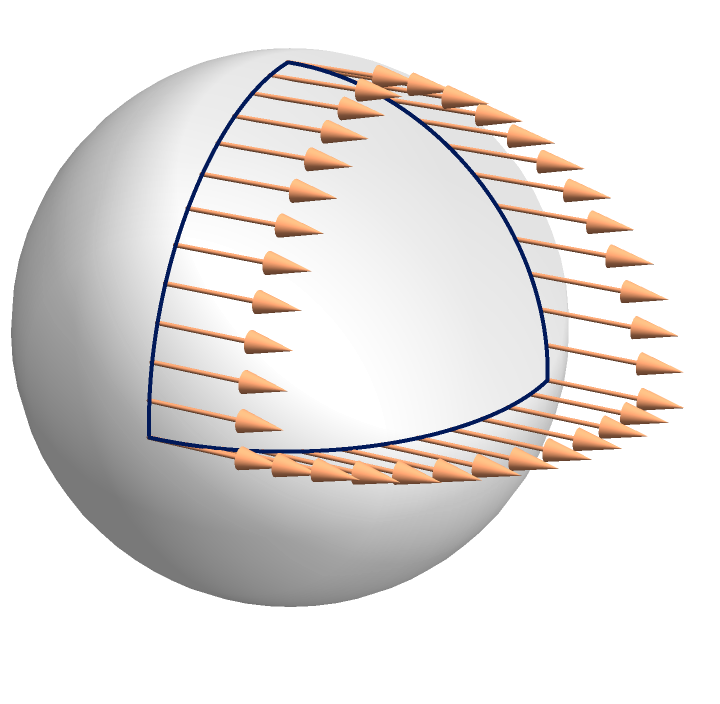 A vector pointing to the right at every point along the spherical triangle described in the main text.